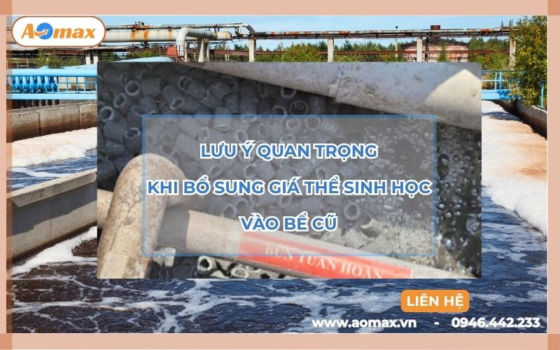 Lưu ý quan trọng khi bổ sung giá thể sinh học vào bể cũ
