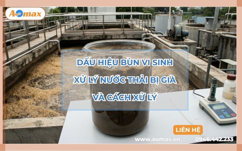Dấu hiệu bùn vi sinh xử lý nước thải bị già và cách xử lý
