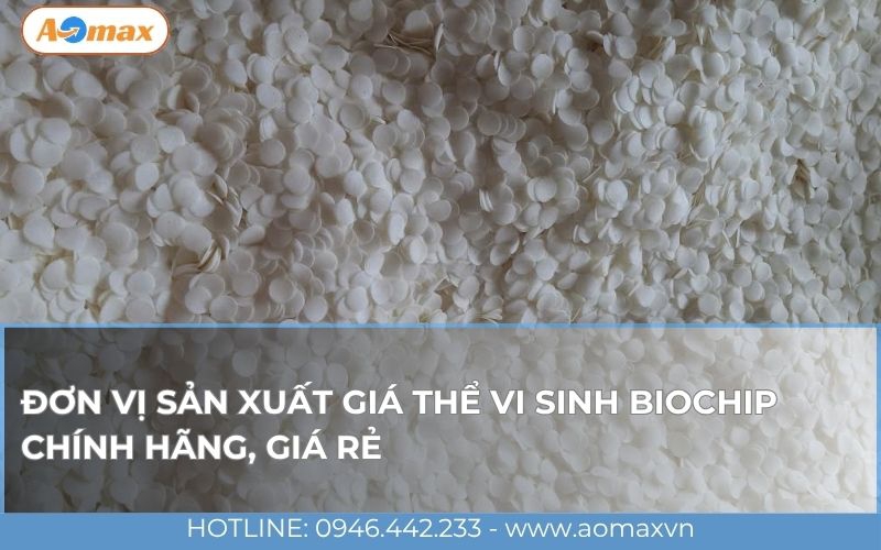 Đơn vị sản xuất giá thể vi sinh Biochip chính hãng, giá rẻ