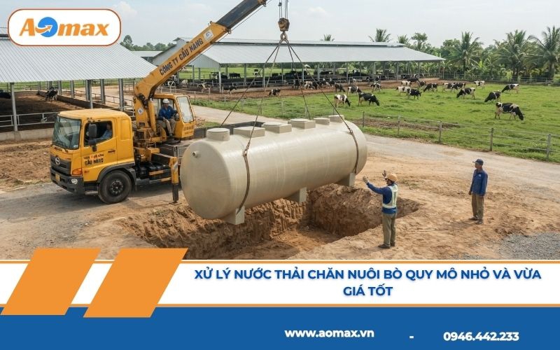 Xử lý nước thải chăn nuôi bò quy mô nhỏ và vừa giá tốt