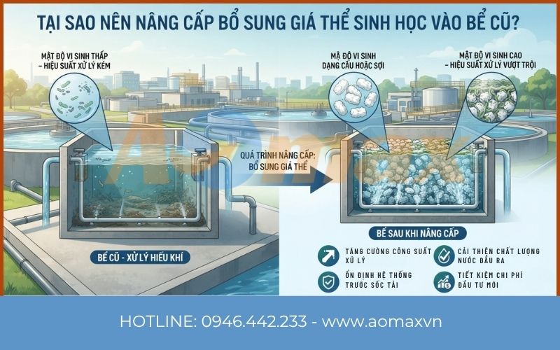 Cải tạo bể hiếu khí cũ bằng cách bổ sung giá thể sinh học