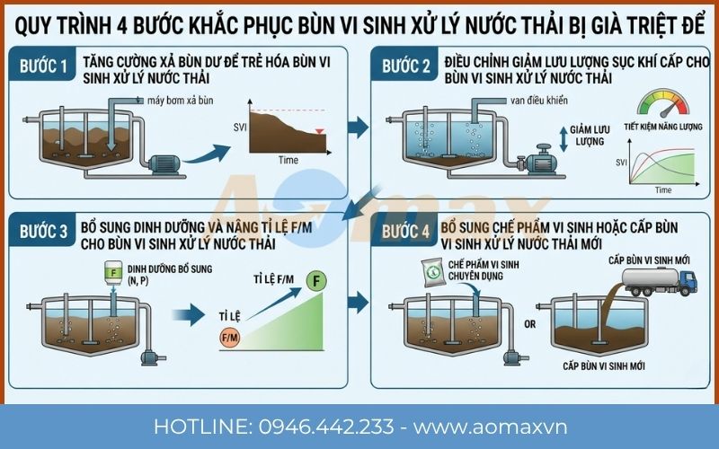 Quá trình phục hồi bùn vi sinh xử lý nước thải