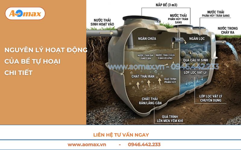 Nguyên lý hoạt động của bể tự hoại chi tiết