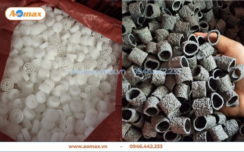 Giá thể vi sinh AOmax cam kết độ bền trên 10 năm