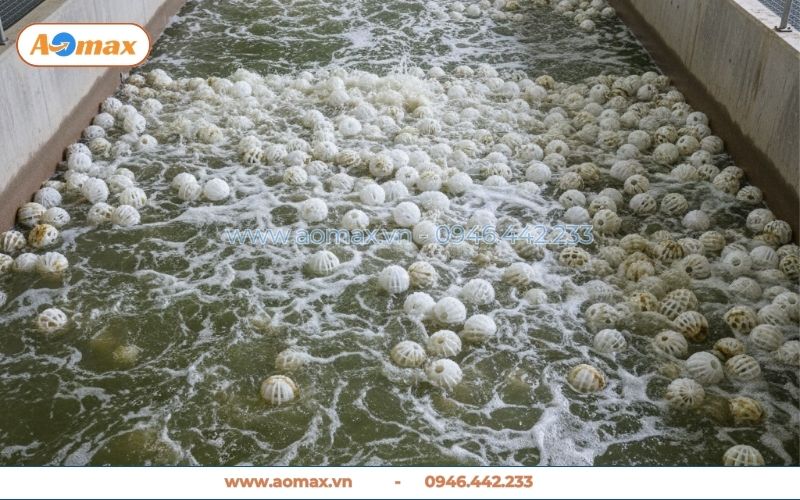 Ứng dụng giá thể vi sinh dạng cầu 16 cánh trong xử lý nước thải