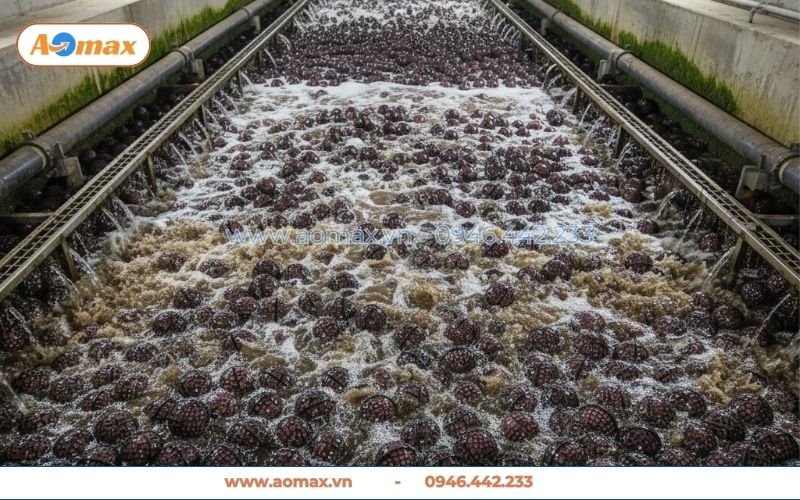 Giá thể vi sinh dạng cầu D100 màu đen dùng cho trạm xử lý nước sinh hoạt.