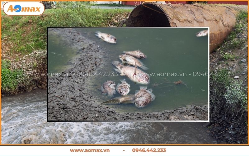 Thực trạng ô nhiễm môi trường nước tại Việt Nam