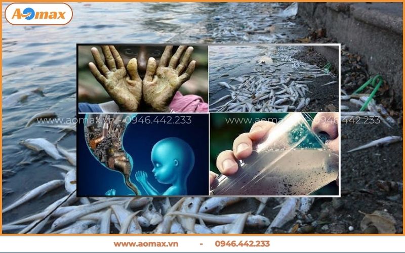 Hậu quả của ô nhiễm môi trường nước