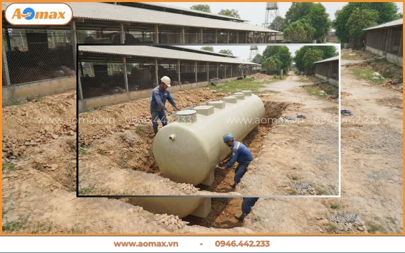 Đội ngũ AOmax lắp đặt trạm xử lý nước thải chăn nuôi heo miền Nam